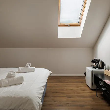 招待所 Richter 3*