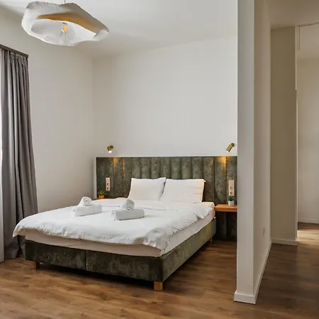 Richter Guest house Brasov