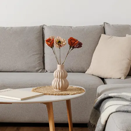 Richter 布拉索夫