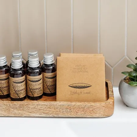 Richter 招待所 3*