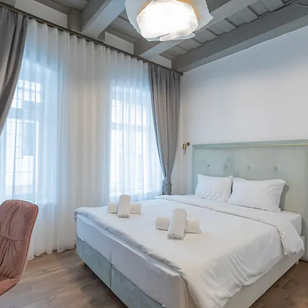 Richter 招待所 布拉索夫