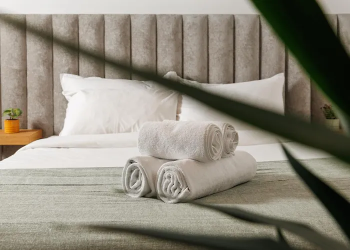 Guest house Richter Brasov