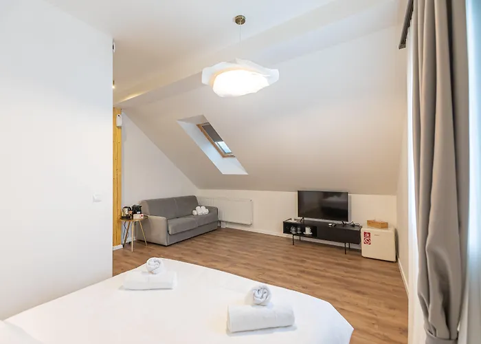 Richter Guest house Brasov